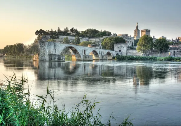 Avignon, cité des Papes