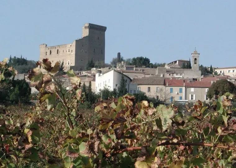 Vignoble de Châteauneuf-du-Pape